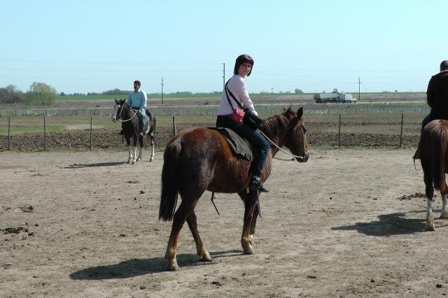 Urlaub in Südamerika 2011